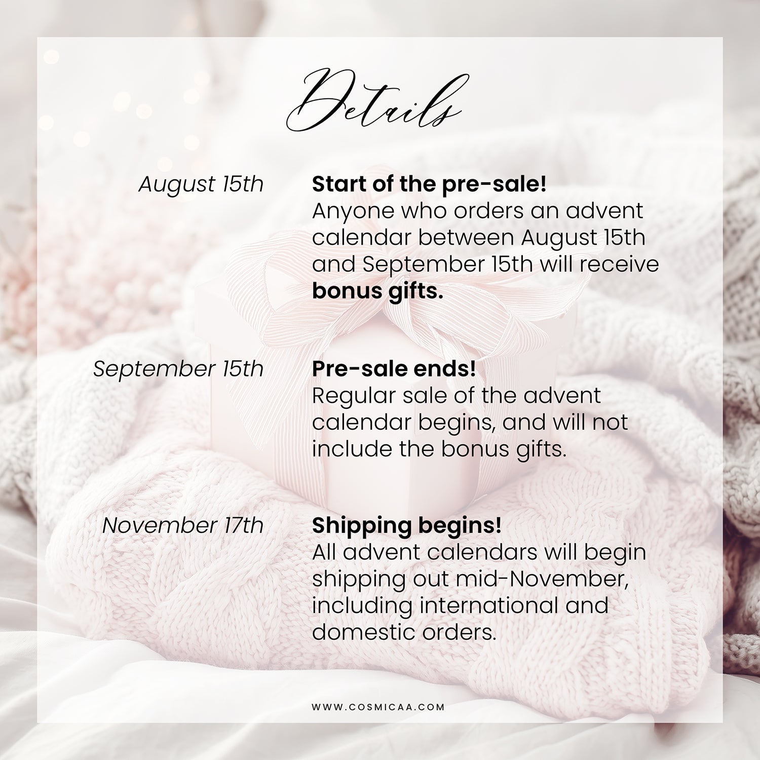 2025 Advent Calendar (PRE-SALE)