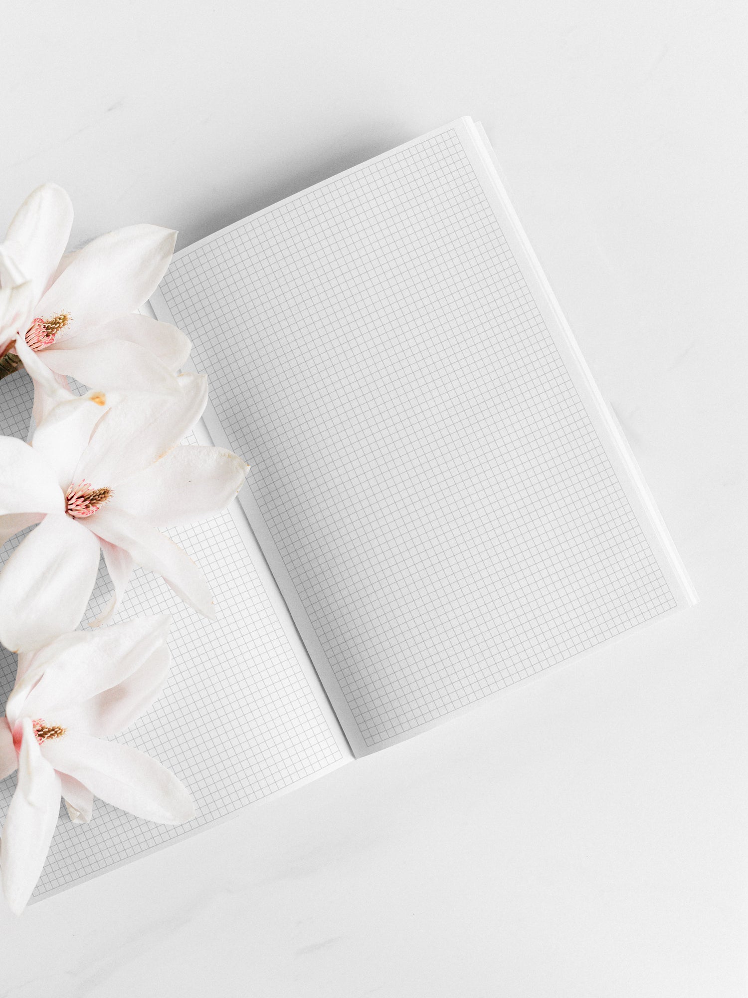 B6 - The Cozy Journal - Grid Notebook (800 pages) - PREORDER