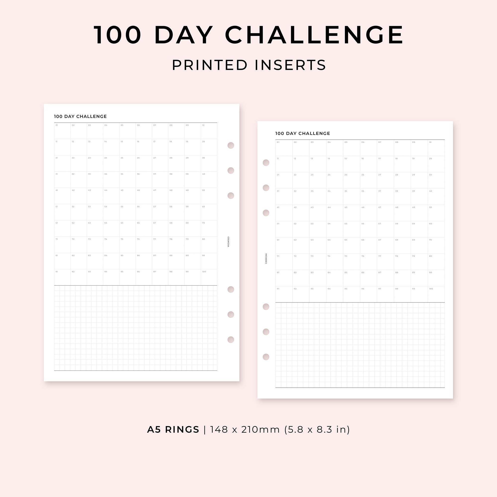 100 Day Challenge - Printed planner inserts
