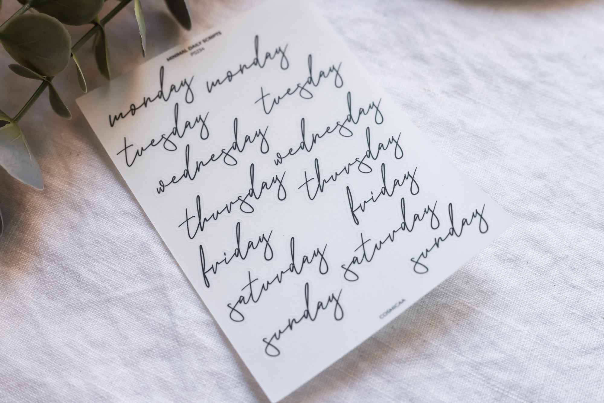 Minimal Daily Scripts - Stickers
