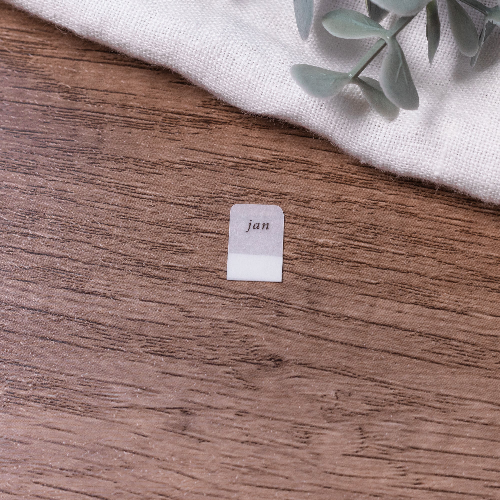 Monthly Mini Vellum Tabs - Planner tabs