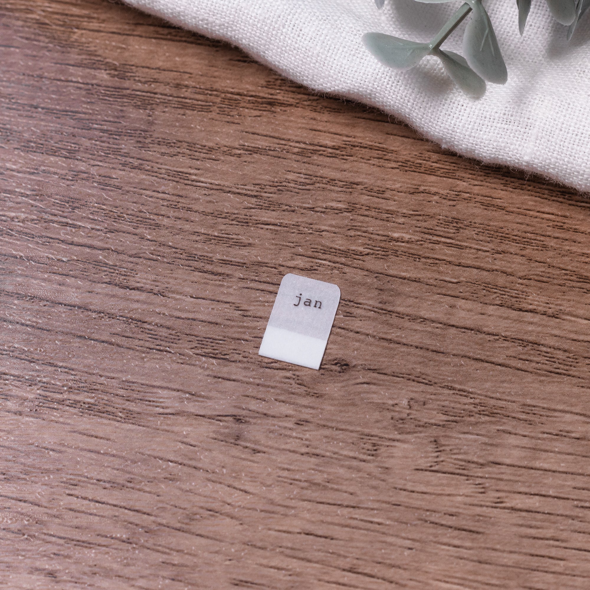 Monthly Mini Vellum Tabs - Planner tabs