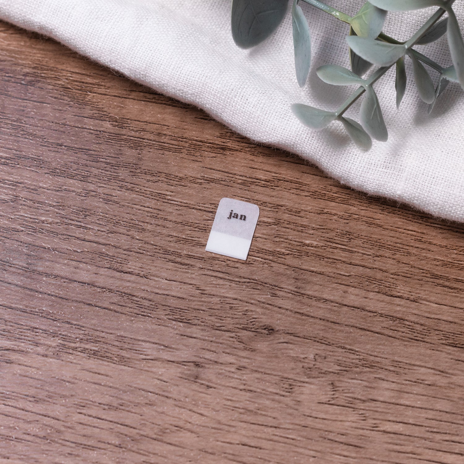 Monthly Mini Vellum Tabs - Planner tabs