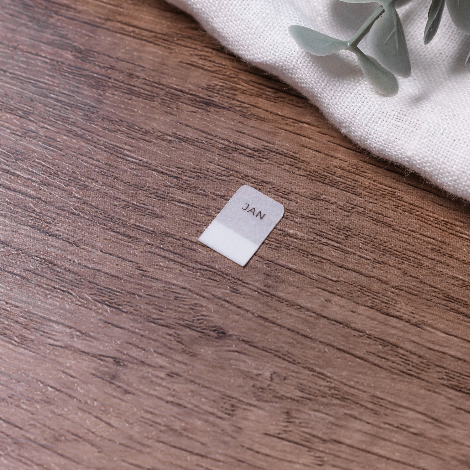 Monthly Mini Vellum Tabs - Planner tabs