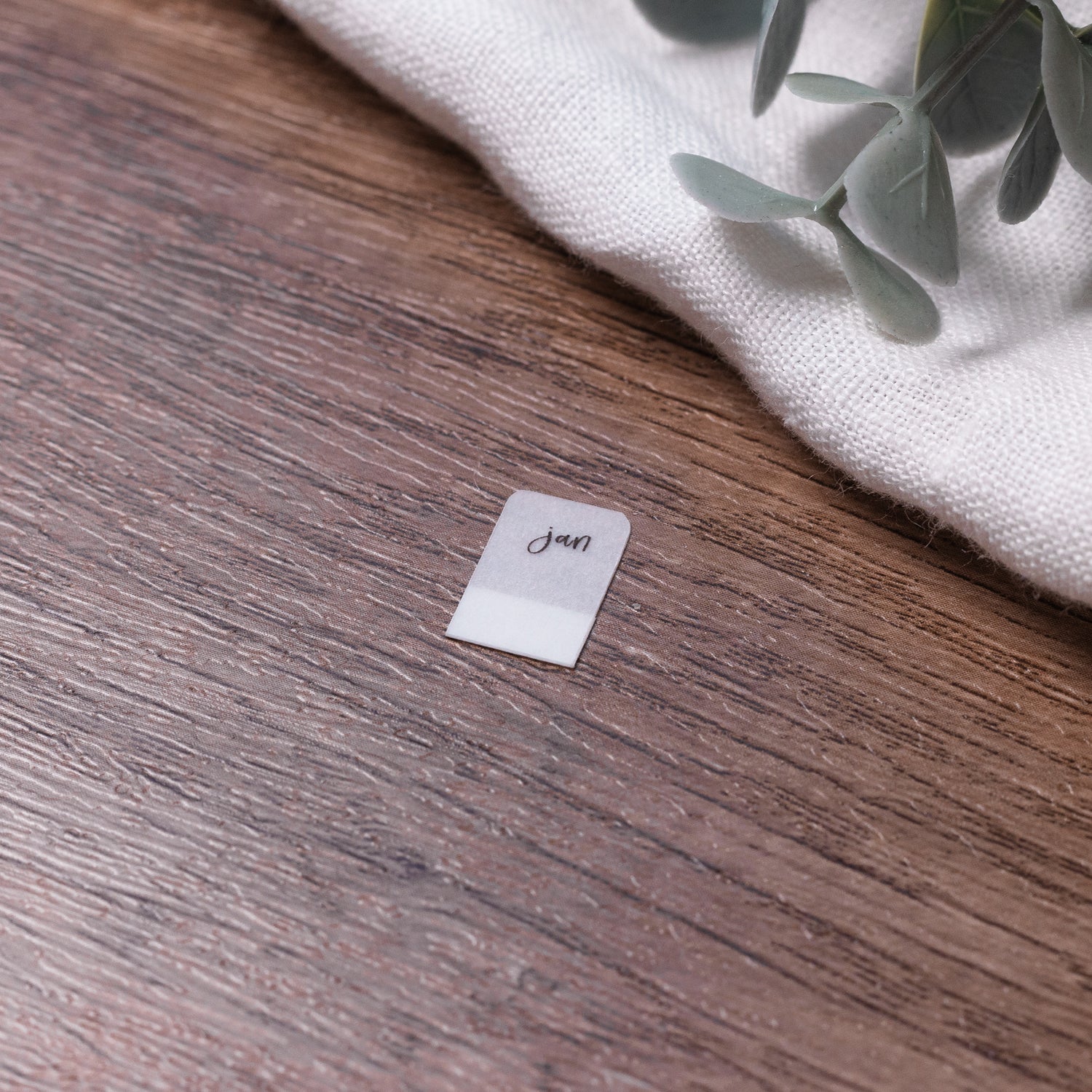 Monthly Mini Vellum Tabs - Planner tabs