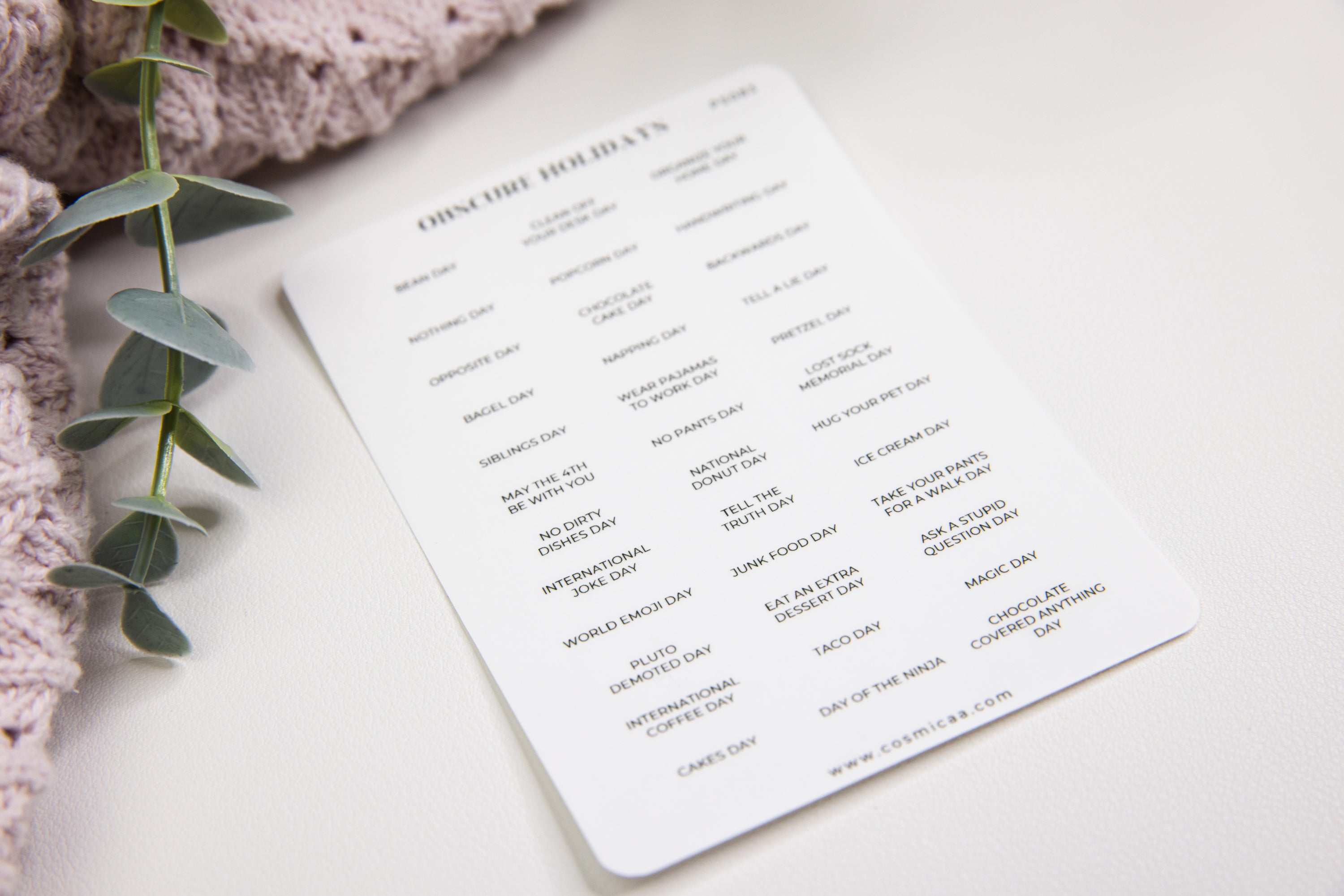 Obscure & Wacky Holidays - Planner Stickers