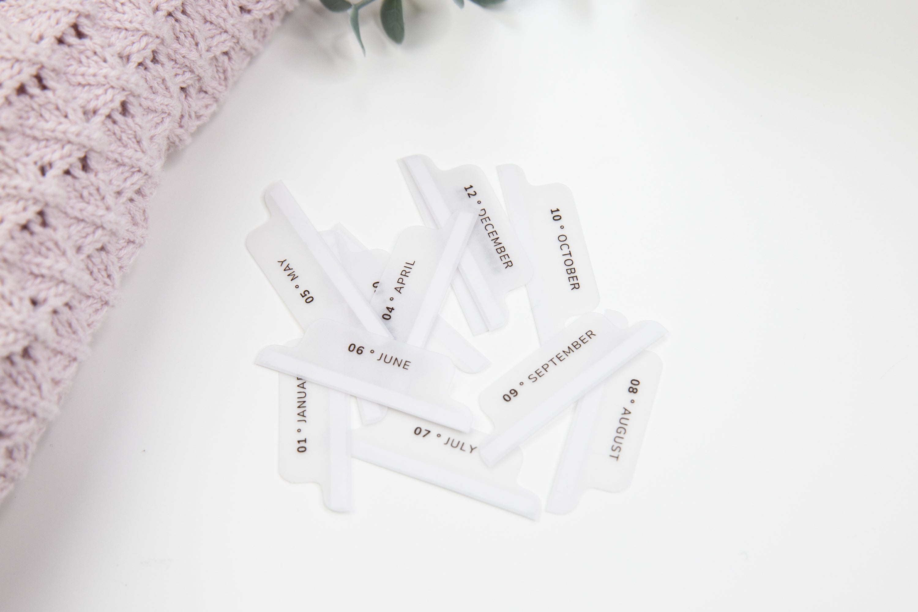 Minimalistic Vellum Tabs - Planner tabs