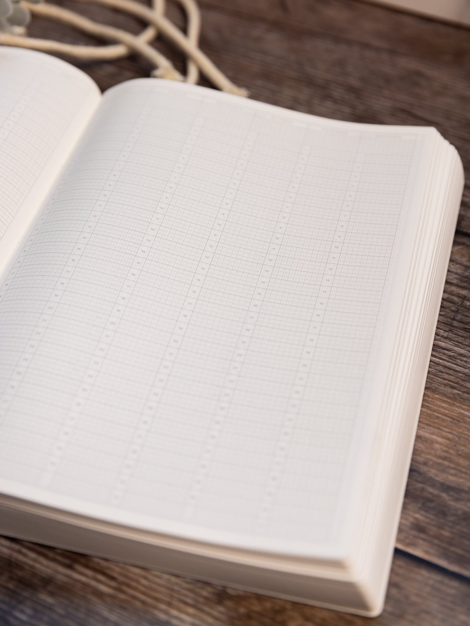 A5 Undated | The Essential Planner