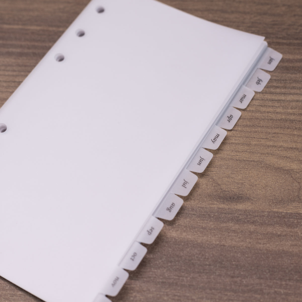 Monthly Tabbed Dividers - Planner dividers