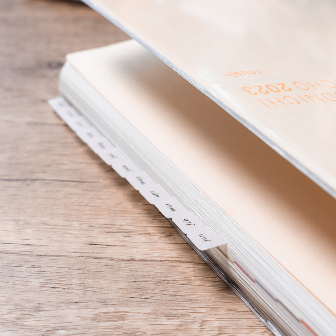 Monthly Mini Vellum Tabs - Planner tabs