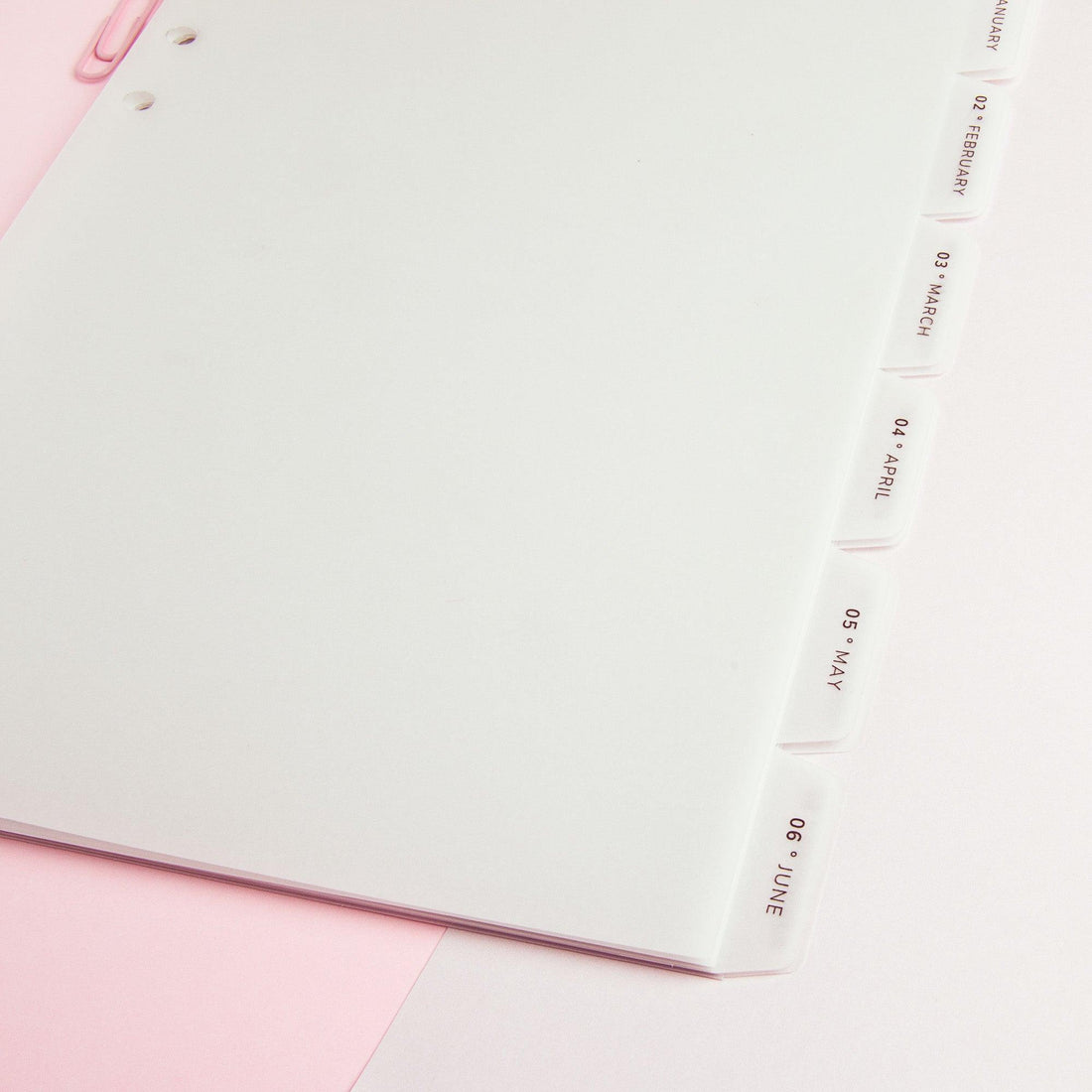 A5 Vellum Monthly Tab Dividers - Planner dividers - Cosmicaa